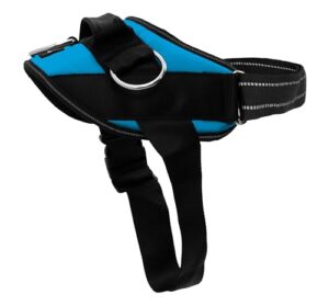 ShawnCo Essential Dog Harness, No Pull B08QV1231N