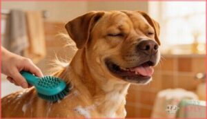 short-haired dogs and rubber brushes short-haired dogs and rubber brushes