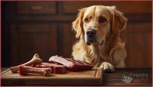 should dogs eat pork bones or ribs should dogs eat pork bones or ribs