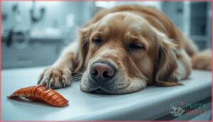 signs of lobster allergy or intolerance in dogs signs of lobster allergy or intolerance in dogs