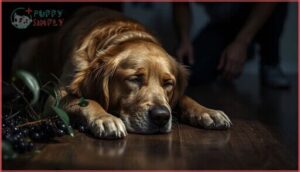 signs of toxic ingredient exposure signs of toxic ingredient exposure