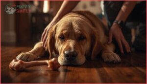 signs of trouble after eating raw chicken bones signs of trouble after eating raw chicken bones