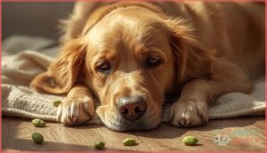 signs your dog may be allergic to edamame signs your dog may be allergic to edamame