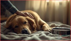 signs your dog may be ready for euthanasia signs your dog may be ready for euthanasia