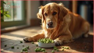 signs your dog should avoid edamame signs your dog should avoid edamame