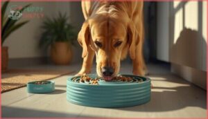 slow feeder bowls for healthy digestion slow feeder bowls for healthy digestion