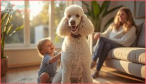standard poodle temperament and traits standard poodle temperament and traits