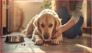 supervising your dog during chewing supervising your dog during chewing