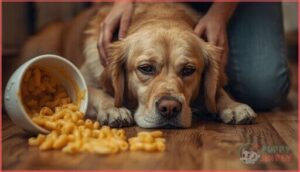 symptoms if your dog eats mac and cheese symptoms if your dog eats mac and cheese