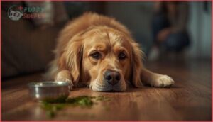 symptoms of pesto poisoning in dogs symptoms of pesto poisoning in dogs