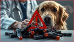 the dangers of black licorice for dogs the dangers of black licorice for dogs
