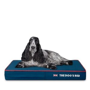 The Dog’s Bed Orthopedic Memory B0CWRH7T25