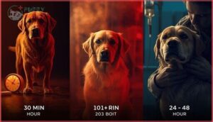 timing of symptom onset timing of symptom onset