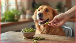 tips for introducing edamame into your dog’s diet tips for introducing edamame into your dog’s diet