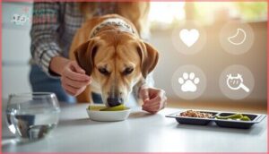 tips for safely introducing new foods tips for safely introducing new foods