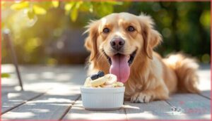 tips for safely treating dogs to ice cream tips for safely treating dogs to ice cream