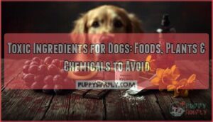 toxic ingredients for dogs toxic ingredients for dogs