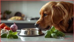 unsafe basil preparations for dogs unsafe basil preparations for dogs