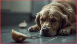 vomiting and diarrhea vomiting and diarrhea