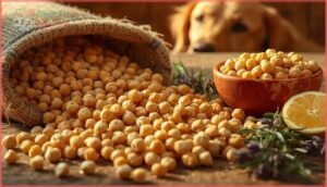 what are chickpeas what are chickpeas