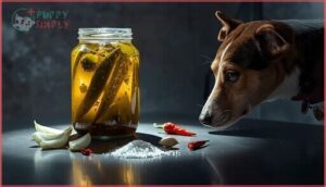 what ingredients in pickles are harmful to dogs what ingredients in pickles are harmful to dogs