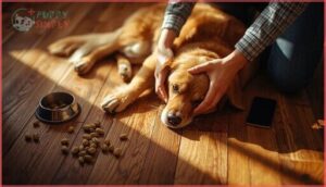 what to do if your dog eats pistachios what to do if your dog eats pistachios