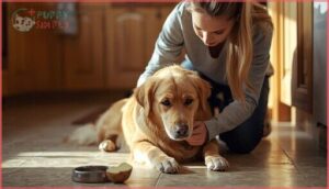 what to do if your dog eats raw potato what to do if your dog eats raw potato