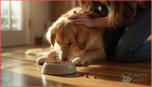 what to watch for during the transition what to watch for during the transition