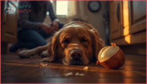 when do symptoms of onion poisoning appear when do symptoms of onion poisoning appear