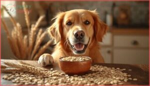 whole grain options and ingredients whole grain options and ingredients