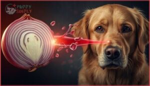 why are onions toxic to dogs why are onions toxic to dogs