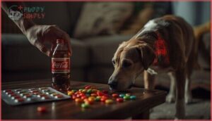why artificial sweeteners harm dogs why artificial sweeteners harm dogs