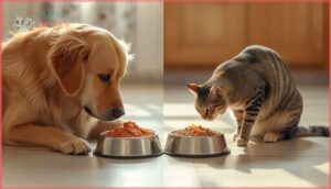 why cat food is not suitable for dogs why cat food is not suitable for dogs