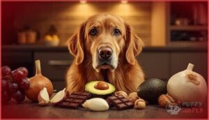 why dogs cannot eat human foods why dogs cannot eat human foods