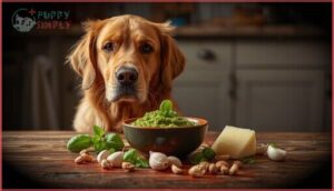 why pesto sauce is unsafe for dogs why pesto sauce is unsafe for dogs