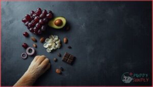 why these foods are deadly to dogs why these foods are deadly to dogs