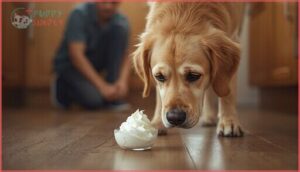 why whipped cream upsets dogs why whipped cream upsets dogs