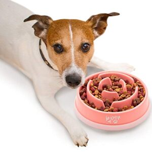 2PET Slow Feed Dog Bowl B01N4R2R4J