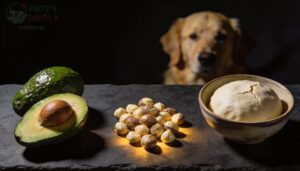 avocado, macadamia nuts, and raw dough avocado, macadamia nuts, and raw dough