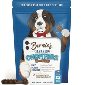 Bernie's Charming Chompers Daily B0BZ9TSYX4