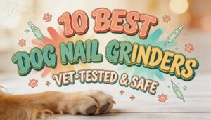 best dog nail grinder best dog nail grinder