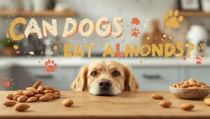 can dogs eat almods can dogs eat almods