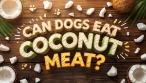 can dogs eat coconut meat can dogs eat coconut meat
