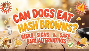 can dogs eat hash browns can dogs eat hash browns