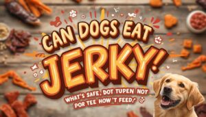 can dogs eat jerky can dogs eat jerky