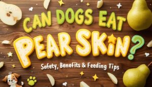 can dogs eat pears skin can dogs eat pears skin