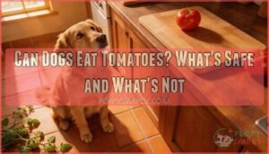 can dogs eat tomatoes can dogs eat tomatoes
