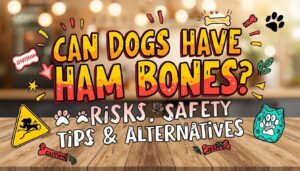 can dogs have ham bones can dogs have ham bones