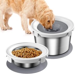 Dog Food Bowl & Water B0C9J1K7R7