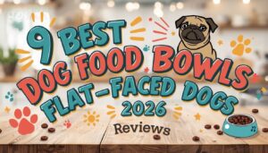 dog food bowls for flat faced dogs